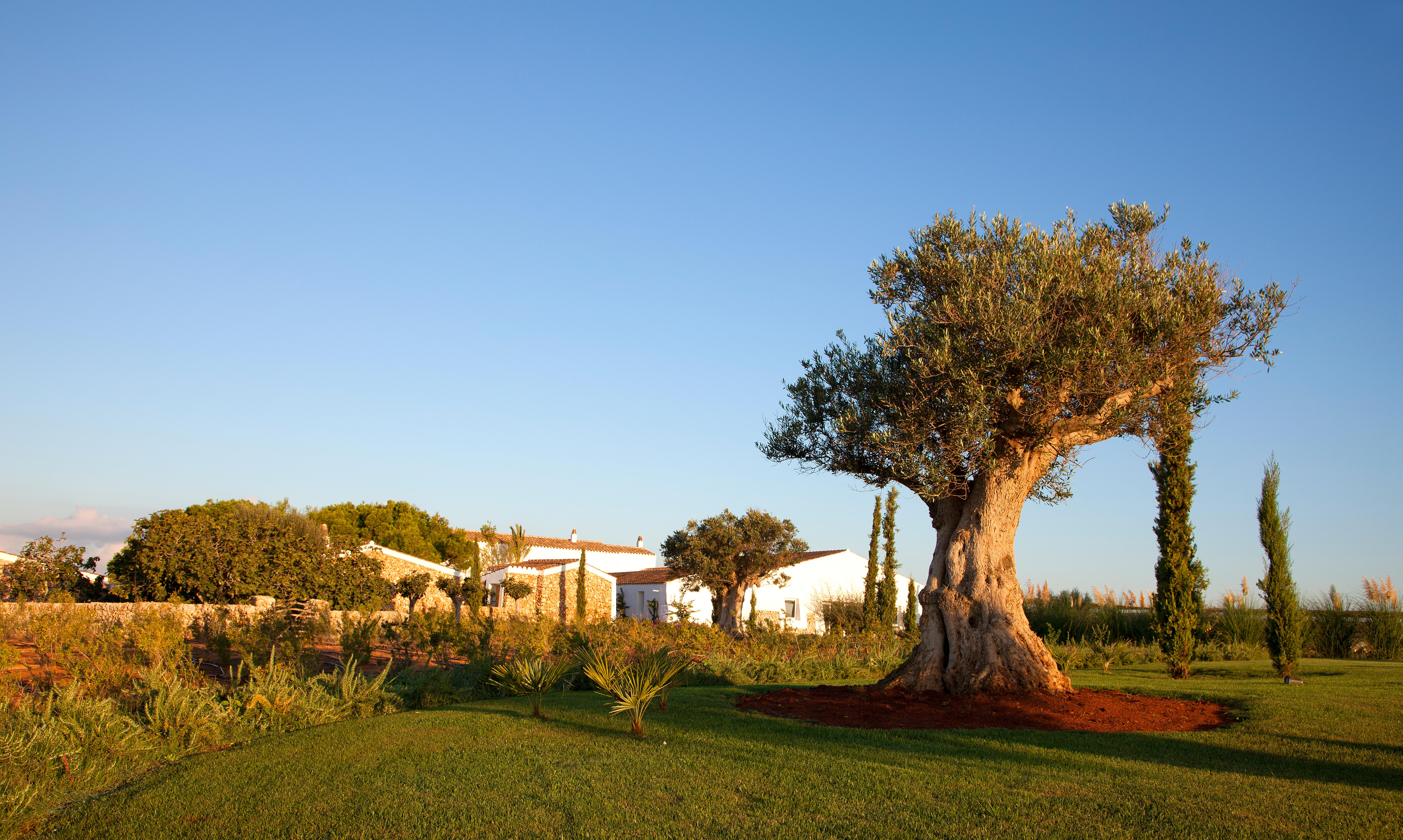 Torralbenc, A Small Luxury Hotel Of The World Cala En Porter  Exterior foto